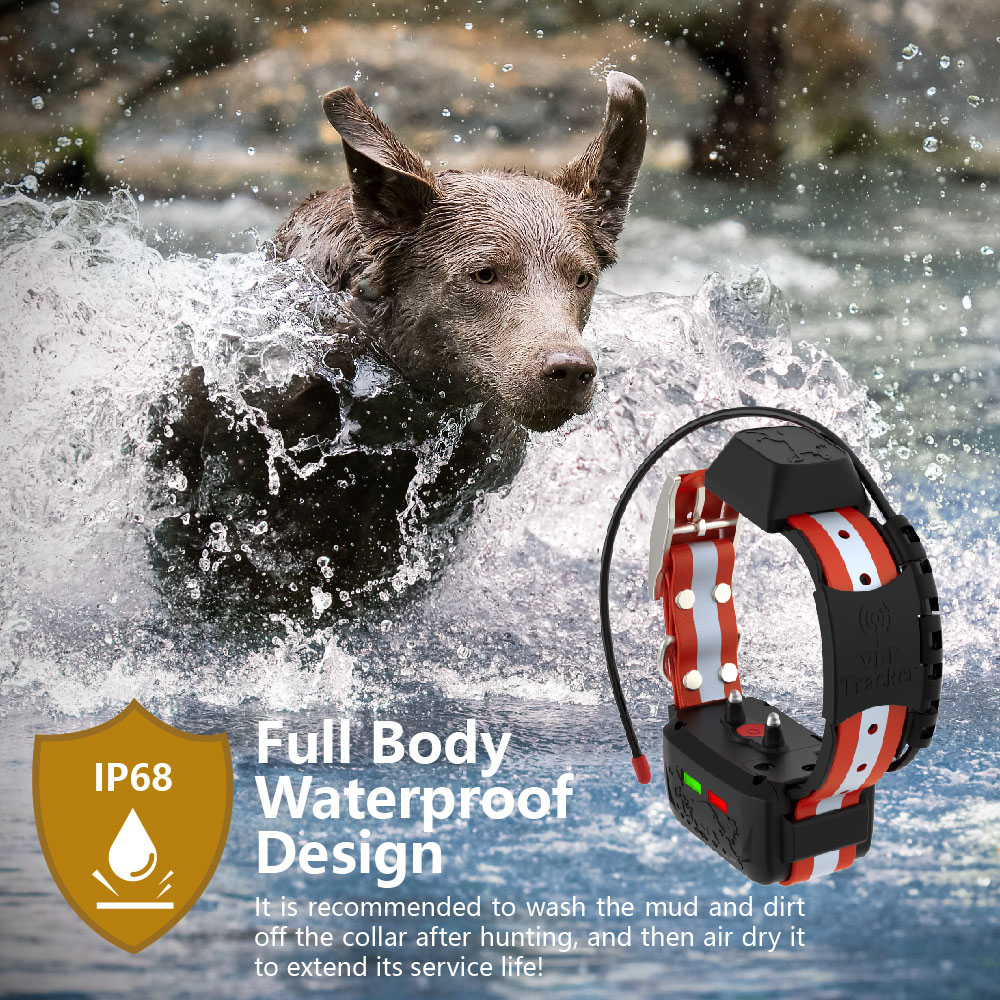 Collar con GPS para Perros y C - Outdoor Hunting Dog Supply reseña y precio