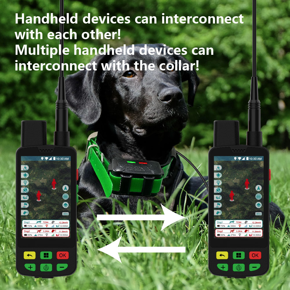 Collar con GPS para Perros y C - Outdoor Hunting Dog Supply reseña y precio