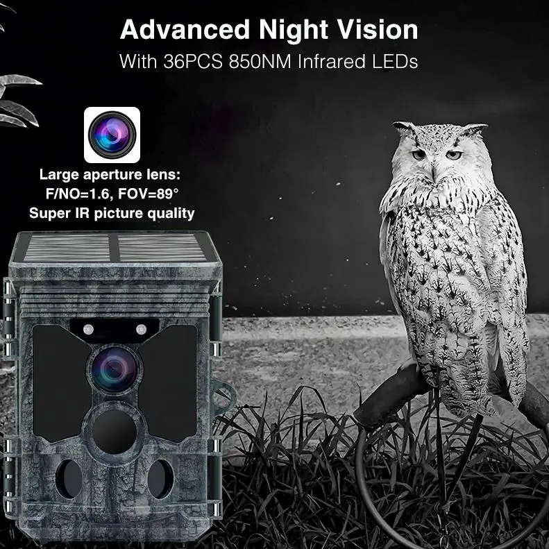 Nueva Tecnología, Cámara de Ca - Outdoor Hunting Videos reseña y precio